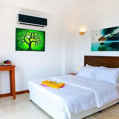 Yenikoy Sleeps 8 Pool Air Con Wifi Vilă *
